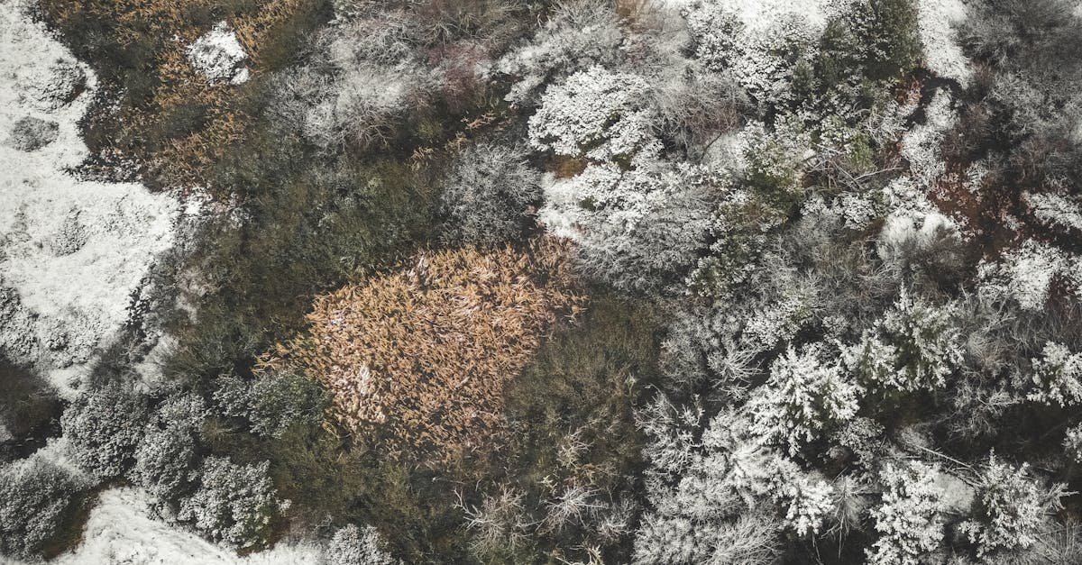 Drone aerial view over landscape and cityscape, signaling airspace security and navigation technology.