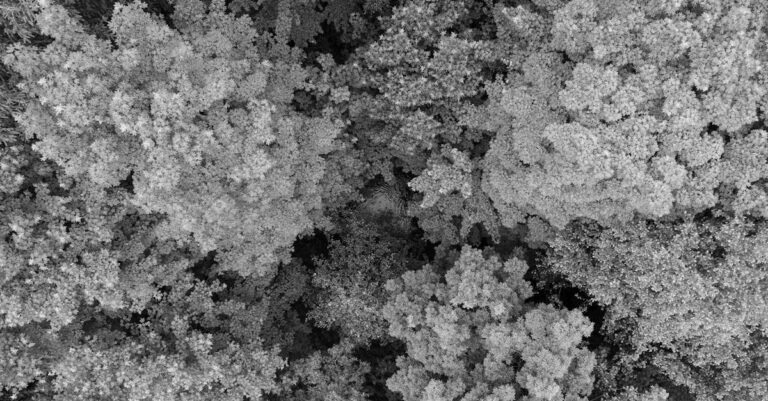 An aerial view from a drone over a landscape, showcasing technology and innovation.