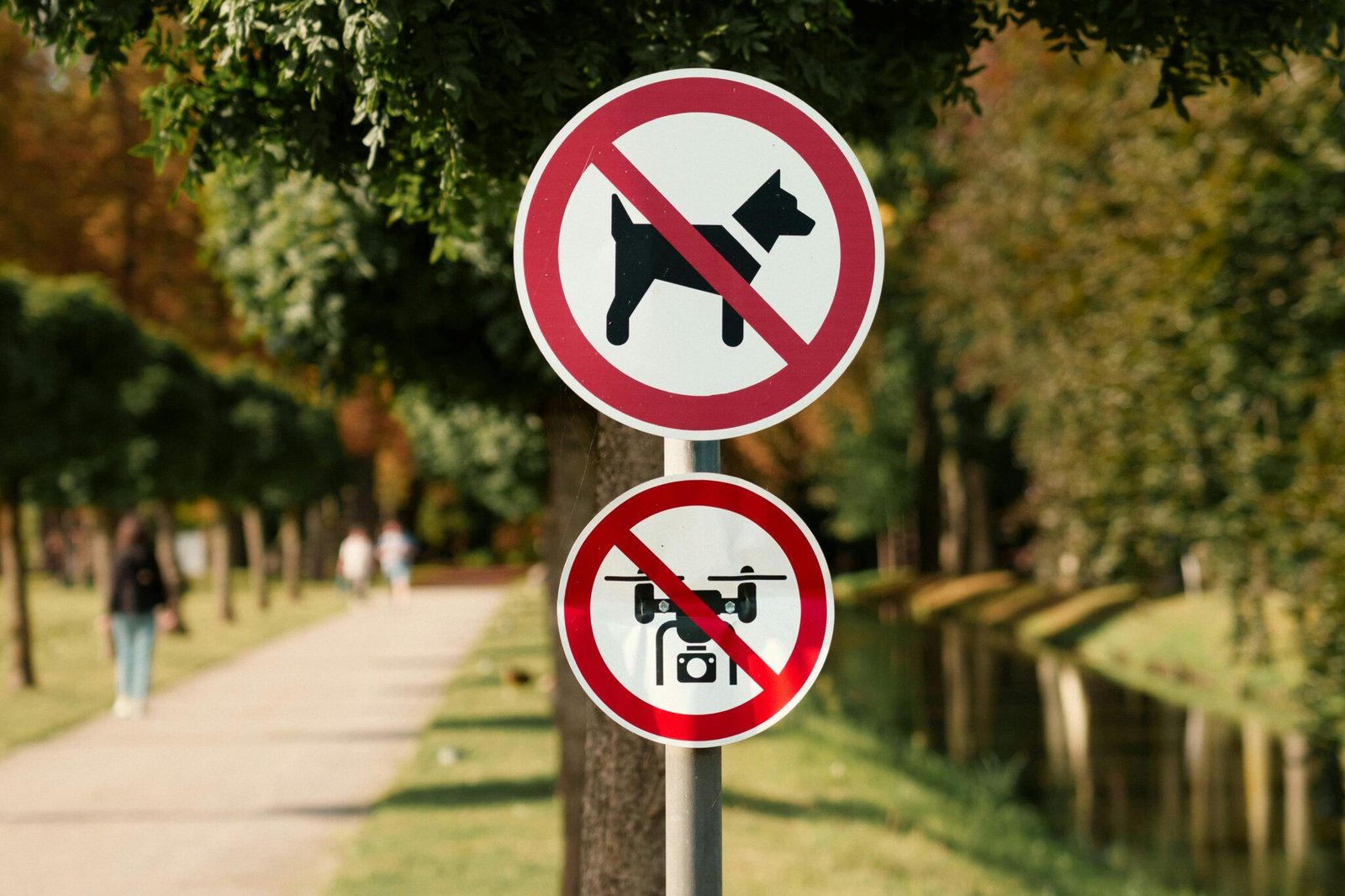 No dogs and no drones allowed signs in a serene park with autumn foliage.