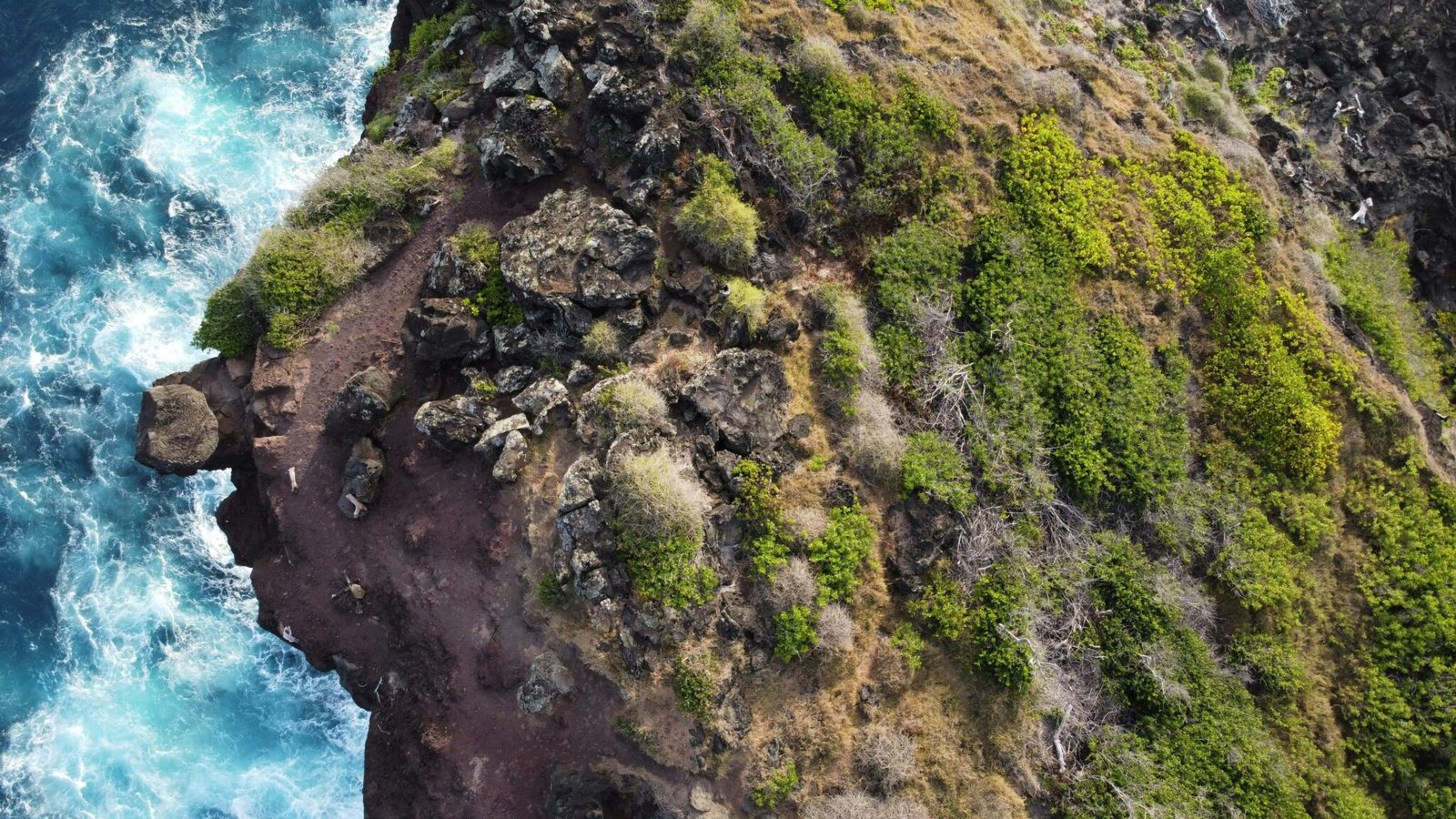Aerial view of a drone over maritime activity, highlighting technology and innovation.