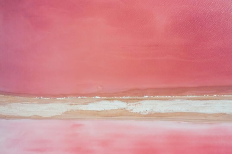 Aerial photograph of a striking pink salt lake landscape in Yucatán, Mexico.