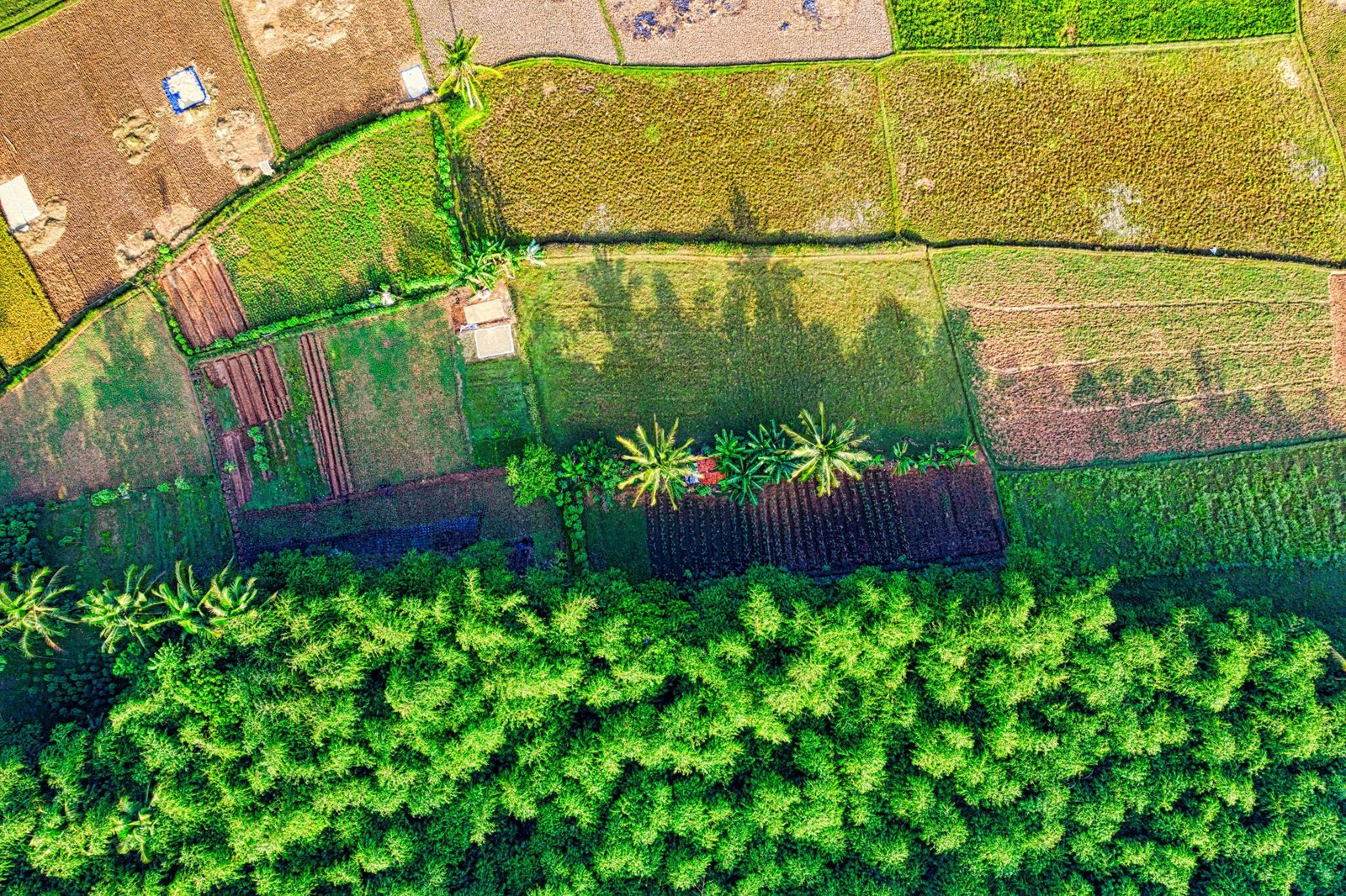 Stunning aerial view of lush green farmlands in West Java, Indonesia, showcasing beautiful agricultural patterns.